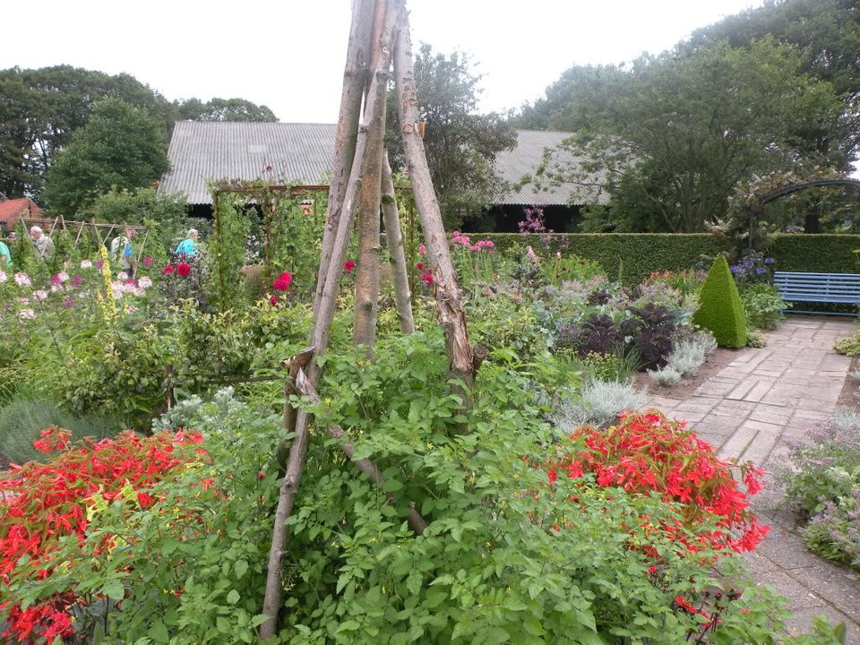 Voorbeelden van een ''mooie moestuin'' Zomer2010012