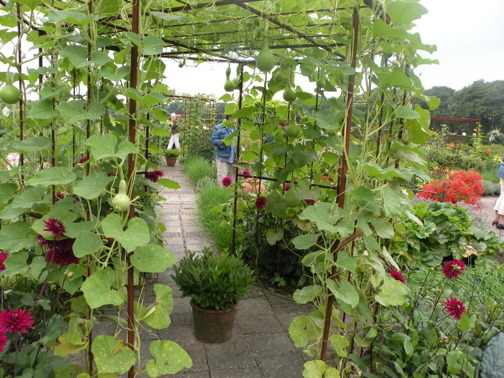 Voorbeelden van een ''mooie moestuin'' Zomer2010020