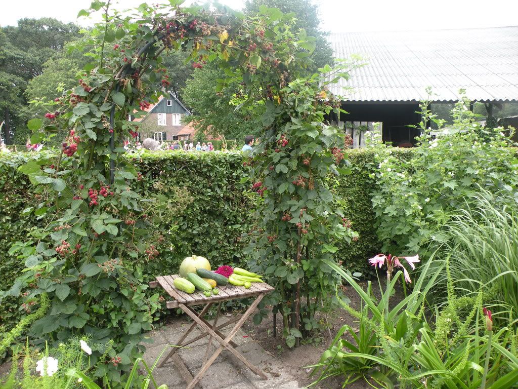 Voorbeelden van een ''mooie moestuin'' Zomer2010030