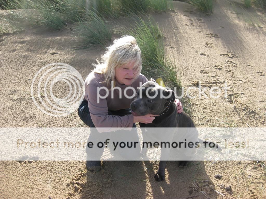 More Vinnie on the beach! (pic heavy)  IMG_4569_zps9b6f2b19