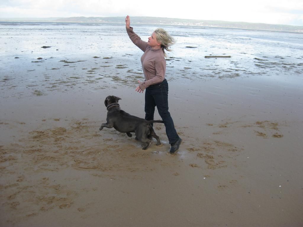 More Vinnie on the beach! (pic heavy)  IMG_4586_zps614e54d8