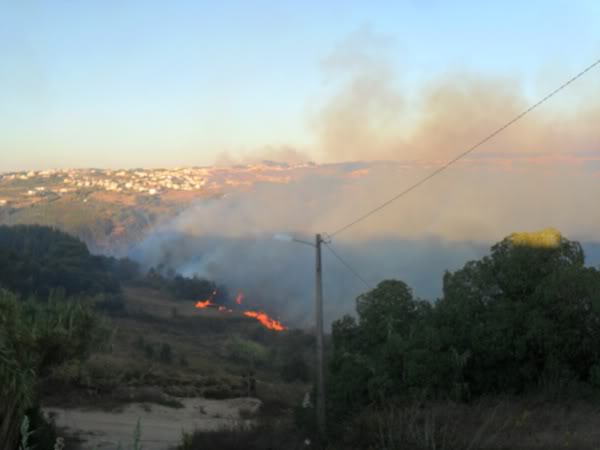 Incêndios no país SAM_2895