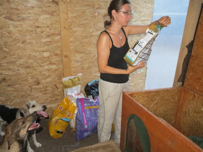 Distribution des croquettes Belges au refuge le 14 août 2013 IMG_8457
