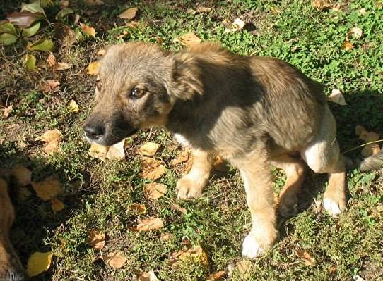 X Parrainage de Lilou - Adoptée - Parrainage CLOS Lilou