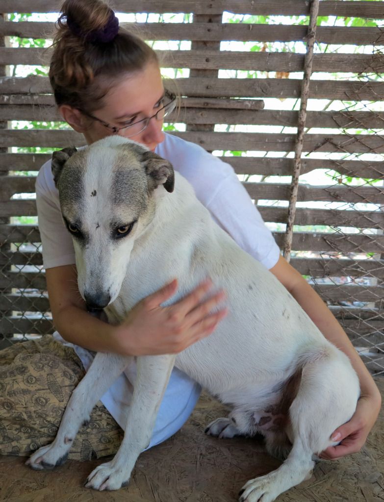 ALBITZU - x 2 ans - Asso Charly le blanc - Irina (Roumanie) IMG_13812