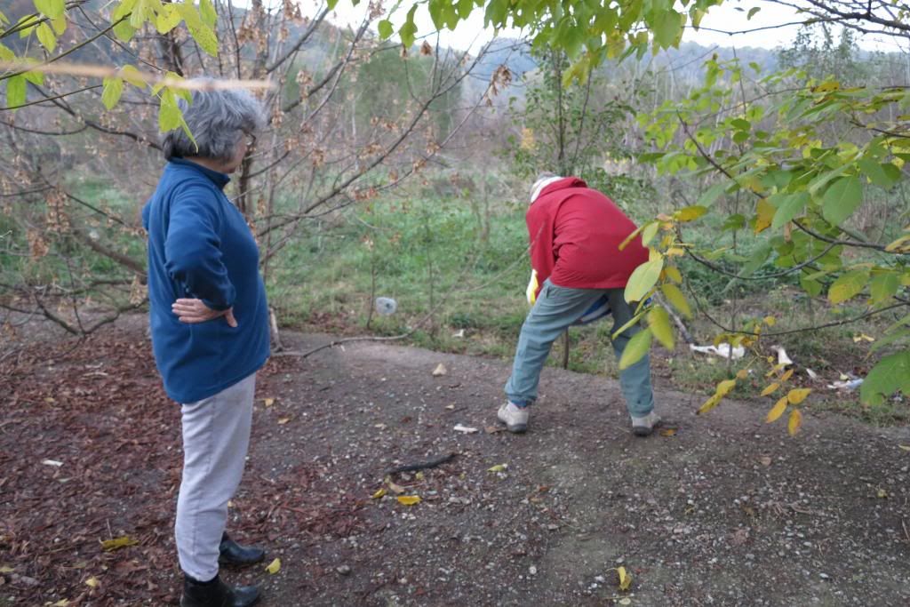 Les croquettes Novembre 2012 IMG_3005