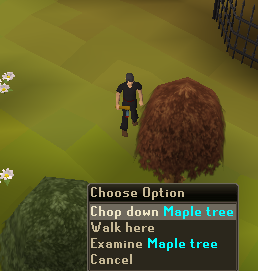 ~~Woodcutting Guide~~ Maple