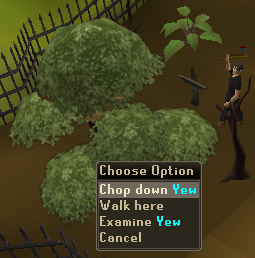 ~~Woodcutting Guide~~ Yewtree