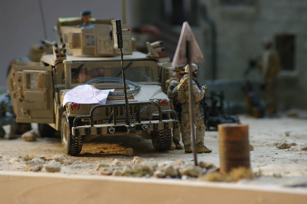 Diorama Irak en rénovation - Page 7 IMGP3947