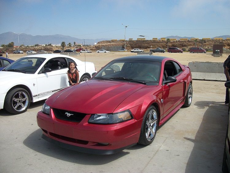 Ensenada Stangs 100_1988