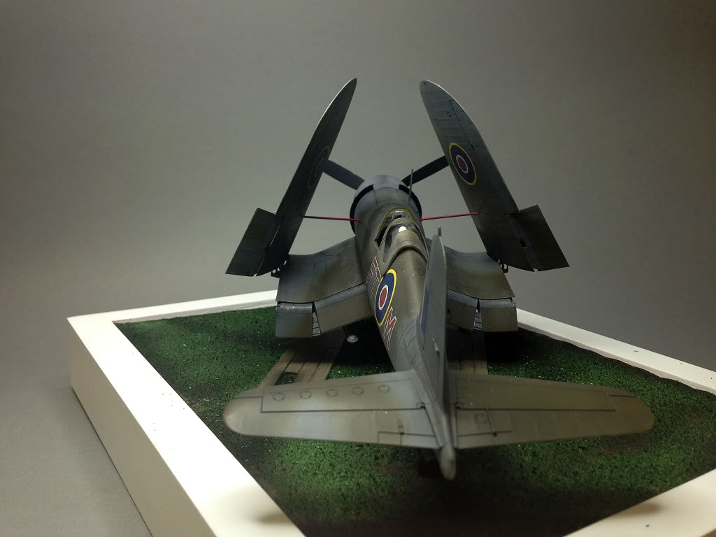 F4U-1D  Corsair   1/48 Tamiya IMG_0090