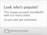 Problema en Photobucket: "Bandwidth Exceeded (Look Who's Popular)" Eb