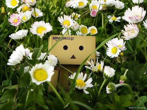 I ❤ Danbo so much 2967111653_1_3_LWbTNyCt