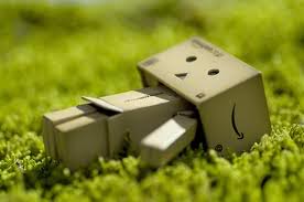 I ❤ Danbo so much Images-1