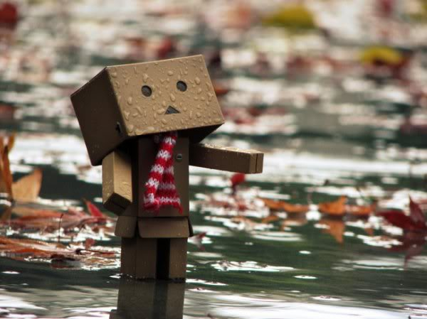  ღ ‏ღ Danbo Photo