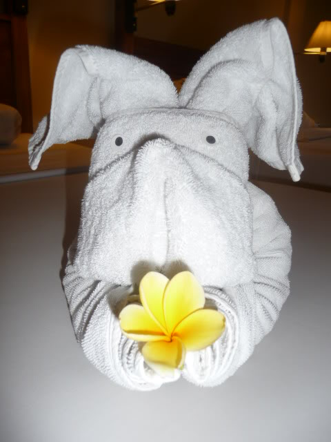 Holiday Towel Animals P1090286