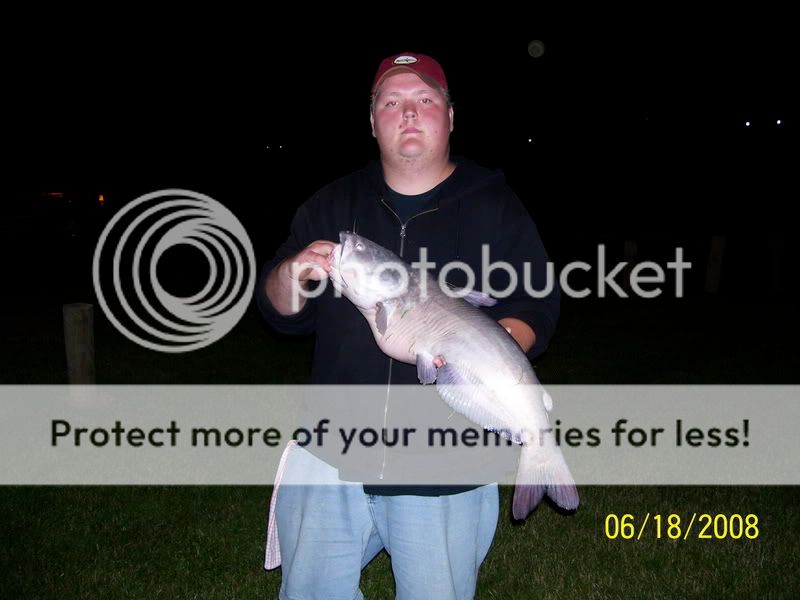 2008... year in review 17lb_bluecat