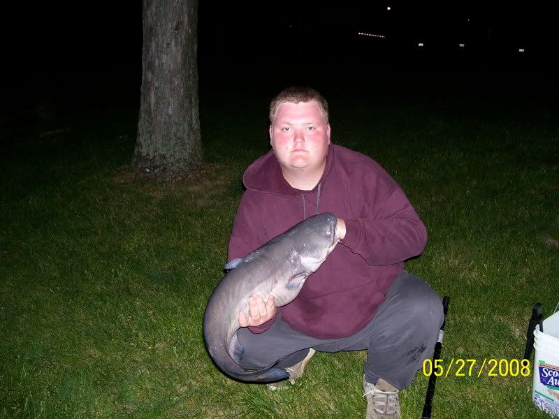 2008... year in review 21lb_bluecat