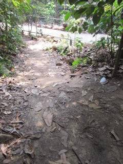 [Mud Trail] 26 Aug 2012, 0845hrs - Offroading @ Dairy Farm Road IMG_0047-1