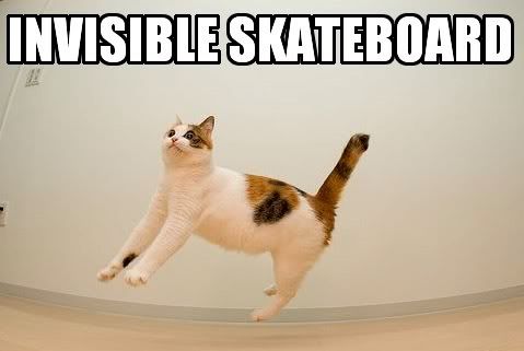 Funny Pictures Skateboard