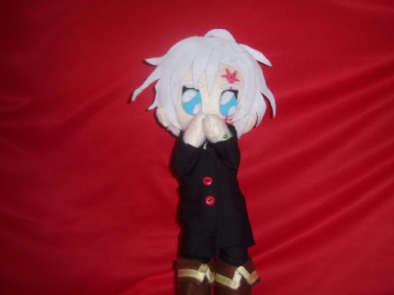 Del  2d.. aora me paso al 3D! =D Galeria de plushies xD 100_4378