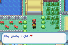 [ Moemon Forever v3 - Hackrom] Yun conquiert Kanto ~ 24