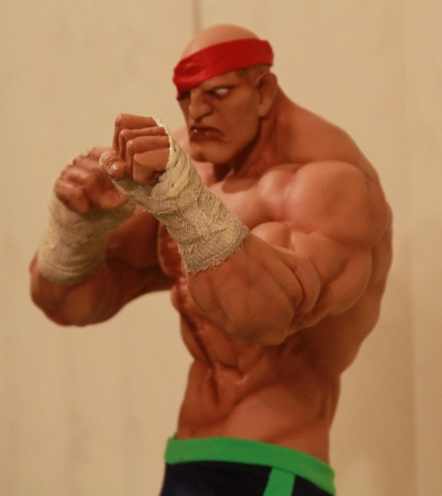 [Pop Culture Shock] Street Fighter: Sagat - 1/4 scale - LANÇADO!!! - Página 10 IMG_3177_zps2f760ee6