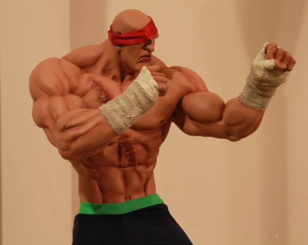 [Pop Culture Shock] Street Fighter: Sagat - 1/4 scale - LANÇADO!!! - Página 10 IMG_3179_zpsb9dea227