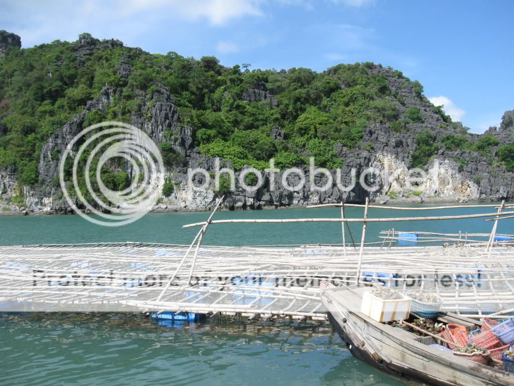 Cho thuê Tàu Cao Tốc và Tàu Du Lịch thăm quan  Minh Châu, Quan Lạn IMG_0497