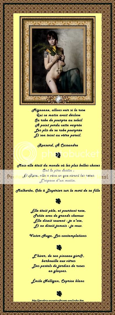 ARCHIVES DE POESIES ET TEXTES N° 1 - Page 4 17a4ddf5