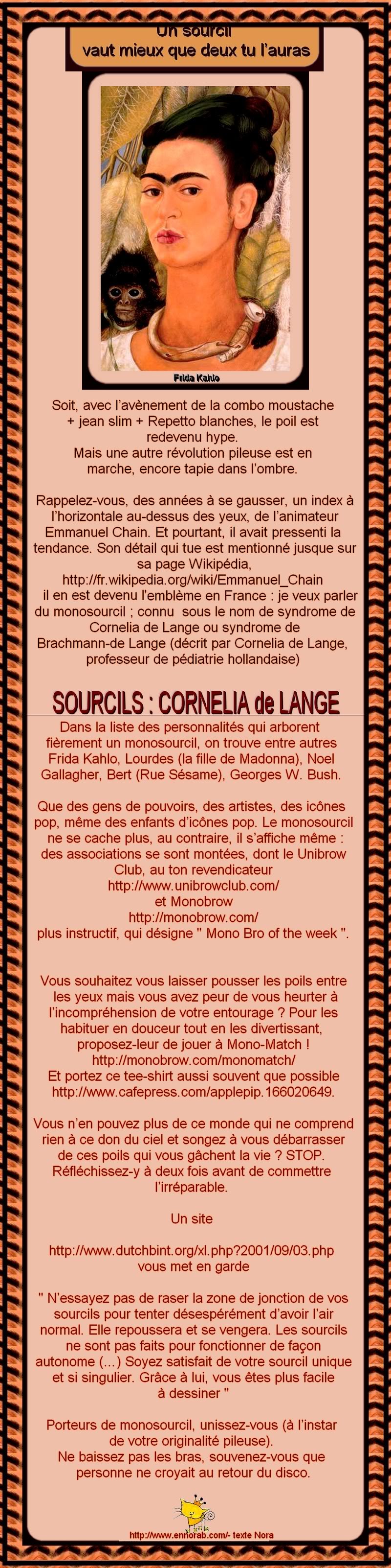 SOURCILS - CORNELIA DE LANGE - MONOSOURCIL SYNDROME DE BRACHMANN DE LANGE 24c41056