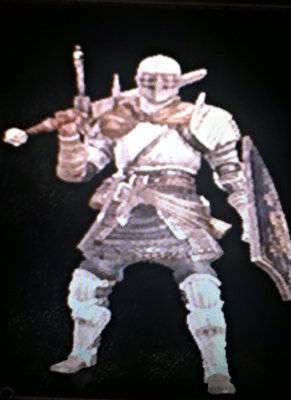 Dark Souls Photo Album Knight-1