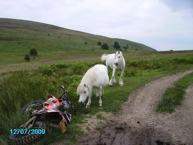 Long ride for to many Gates!!!! Radnorrun146