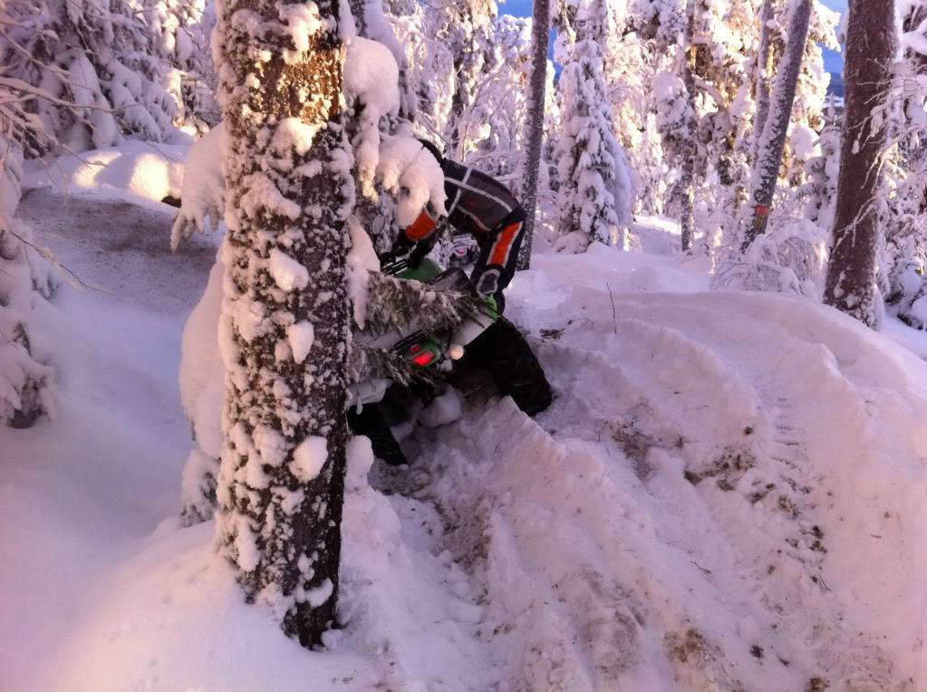 Bilder från dagens tur i skogen. IMG_0298-1