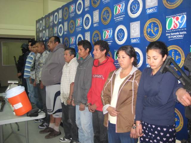Cae gente de la Familia Michoacana en Tijuana Detenidosconnarcolaboratorio