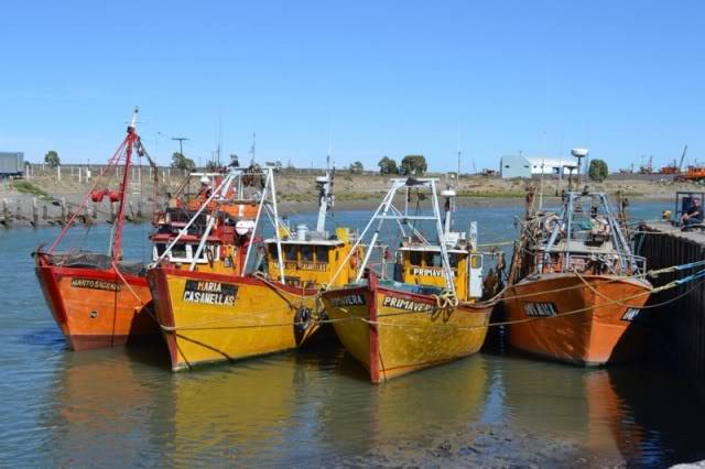 Patagonia 2012: Trelew, Deseado, Sarmiento, Los Alerces, su ruta ... DSC_0868