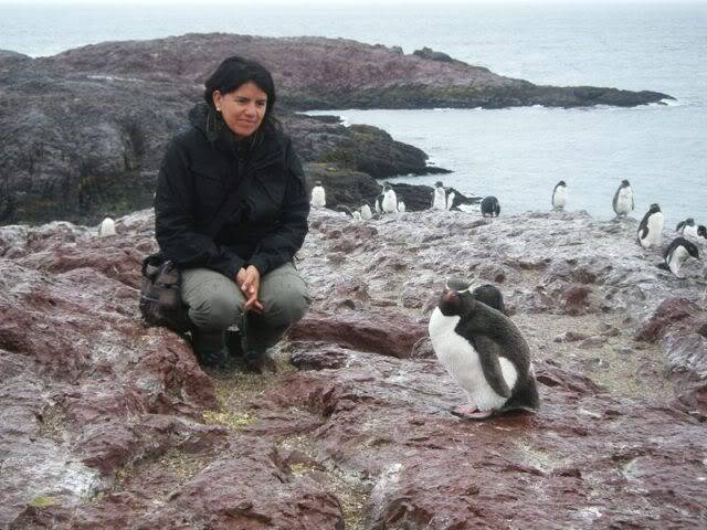 Patagonia 2012: Trelew, Deseado, Sarmiento, Los Alerces, su ruta ... P2090235