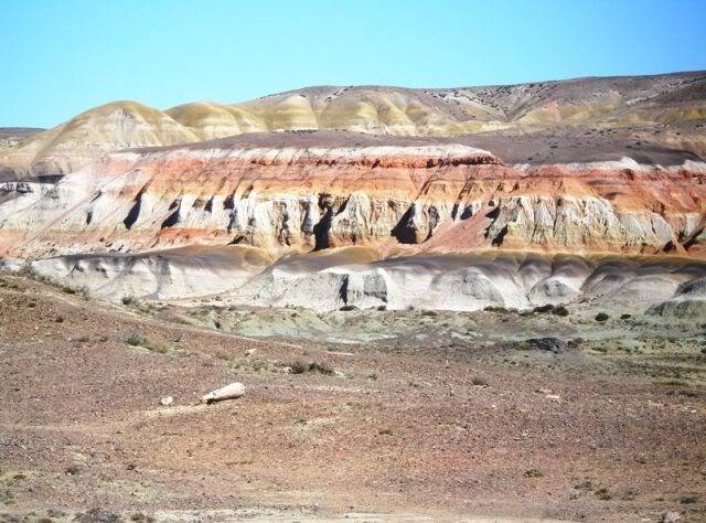 Patagonia 2012: Trelew, Deseado, Sarmiento, Los Alerces, su ruta ... P2130471