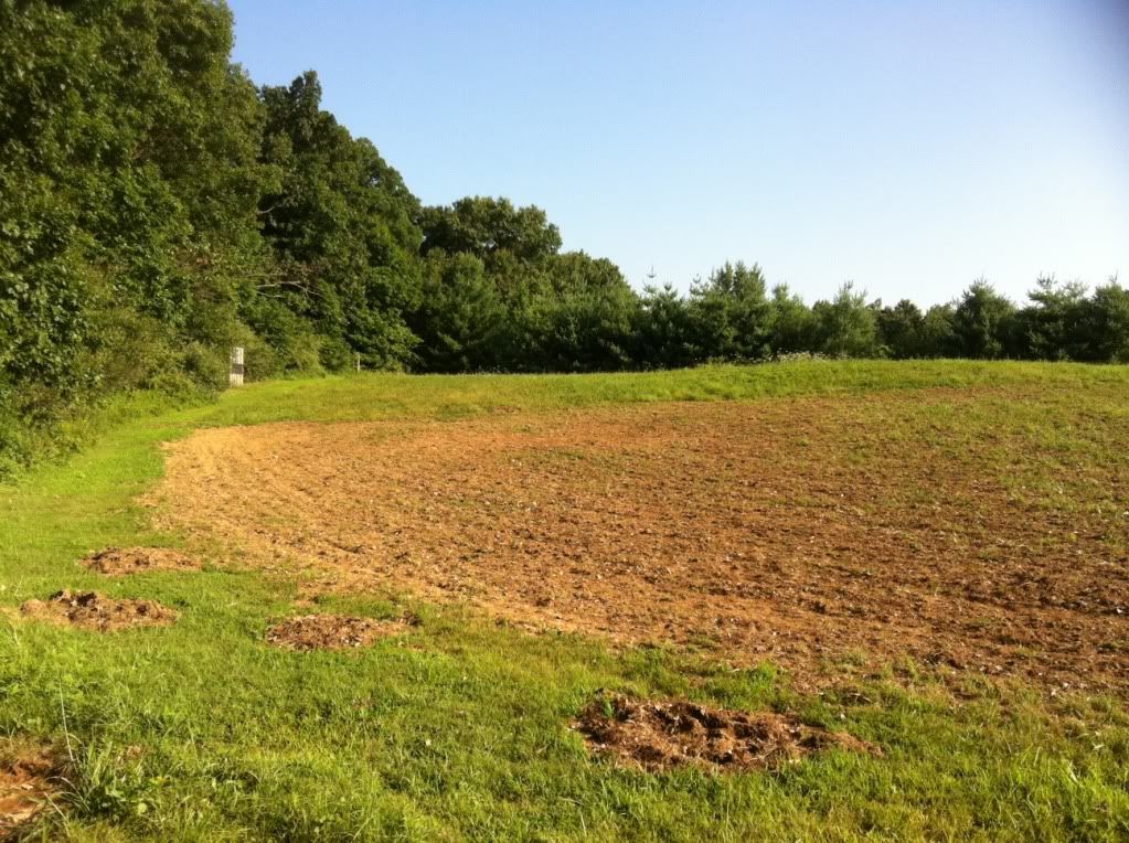 Update of the winter food plot 1311646779