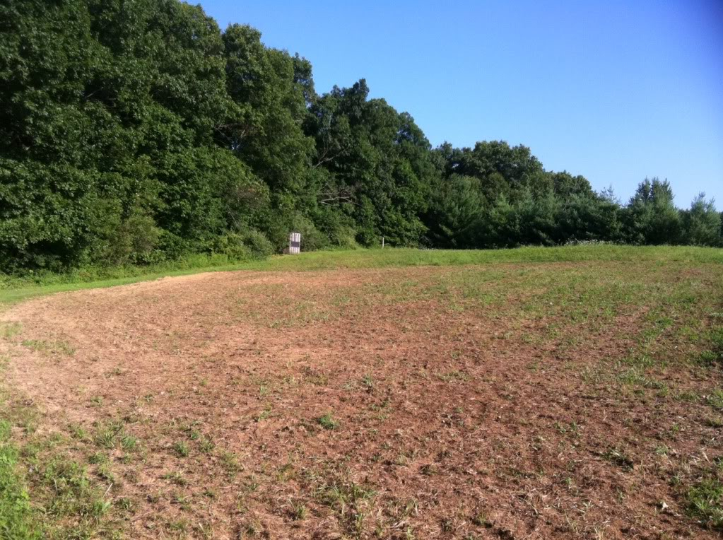 Update of the winter food plot 1311647155