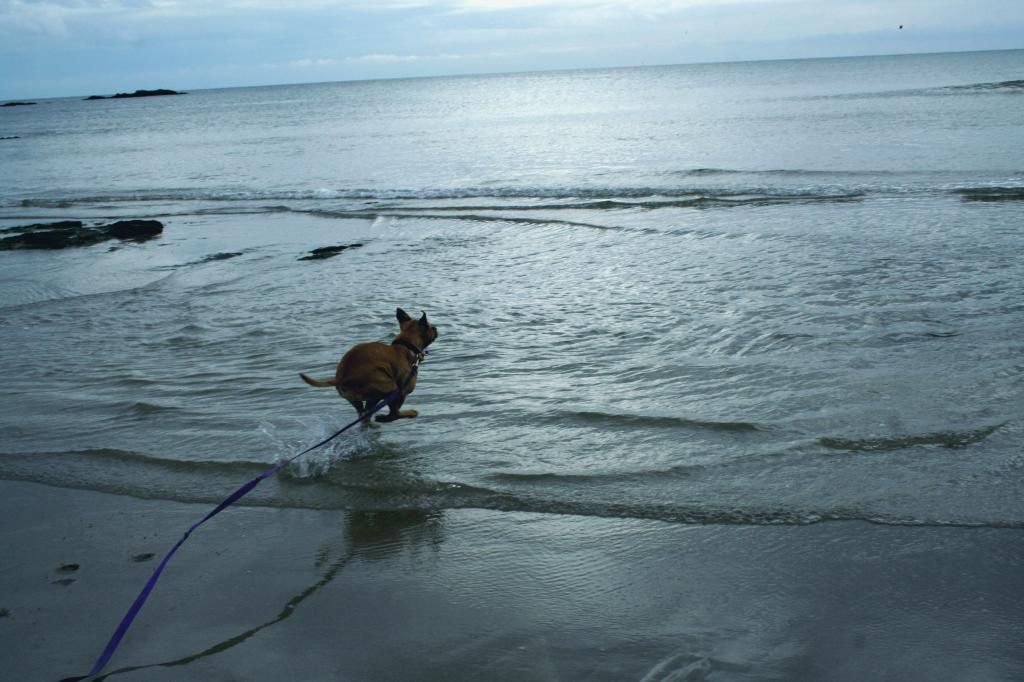 Beach bum! IMG_3444_zps12f882cb