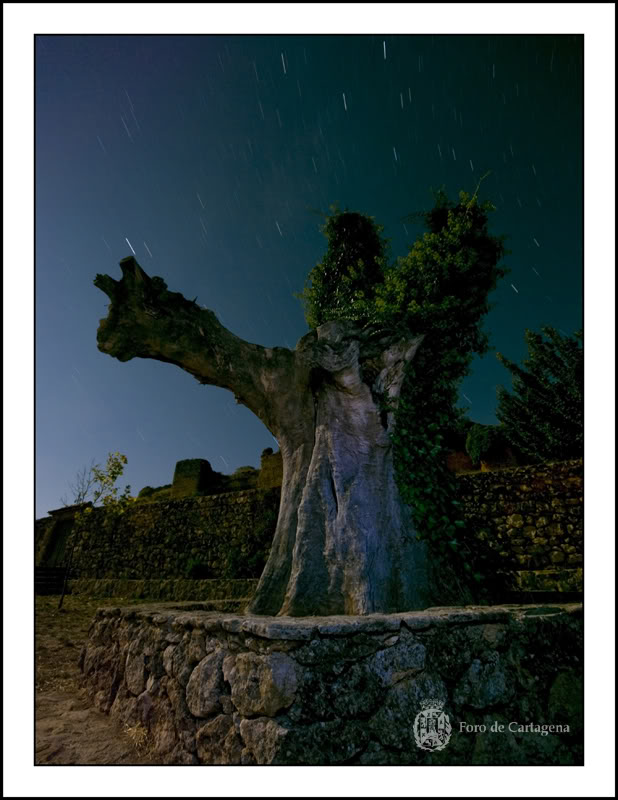 Primera quincena (del 22.09.2010 al 05.10.2010) | Nocturna| OldDreams