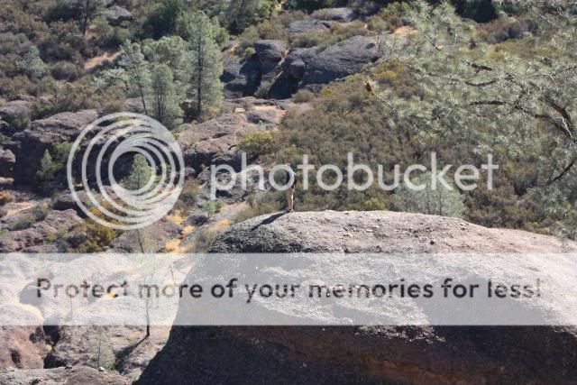 National Pinnacles Monument. IMG_4608