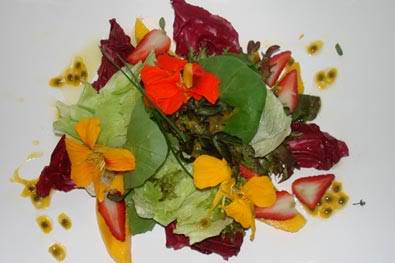 Salada Light de Flores Floresreceita