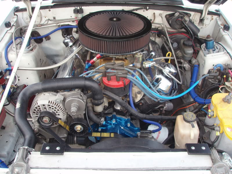 PLEASE POST PICS OF YOUR ENGINES !! - Page 5 351W