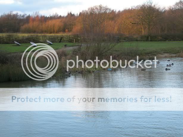 Some pictures of the pond Brierley3-1-12006