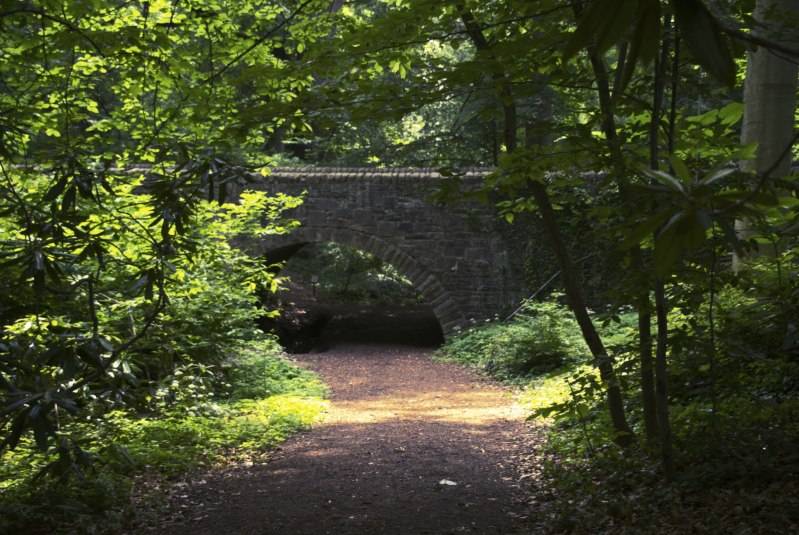 Rock Creek Park RockCreek03