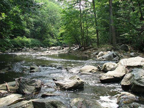 Rock Creek Park RockCreek05