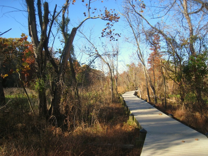 Roosevelt Island Roosevelt02