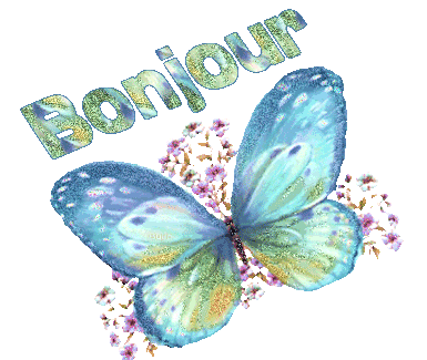 Bonjour - Bonsoir - Bonne Nuit Papillon5FBonjour